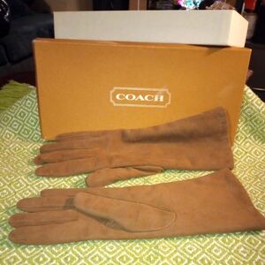 Coach Women's Gloves